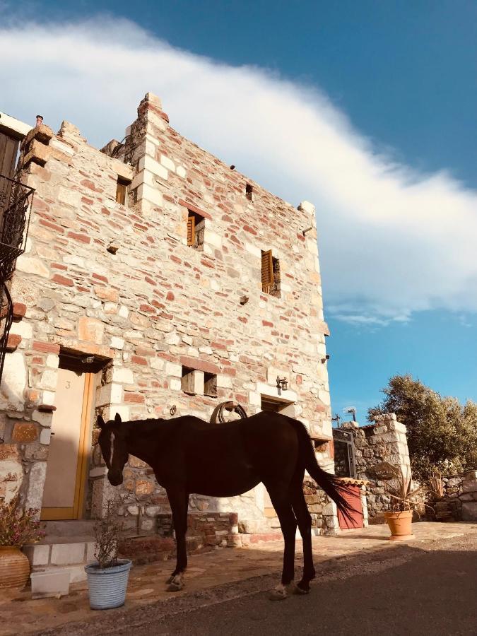 Hotel Castle Rizaraki Kokkala Esterno foto